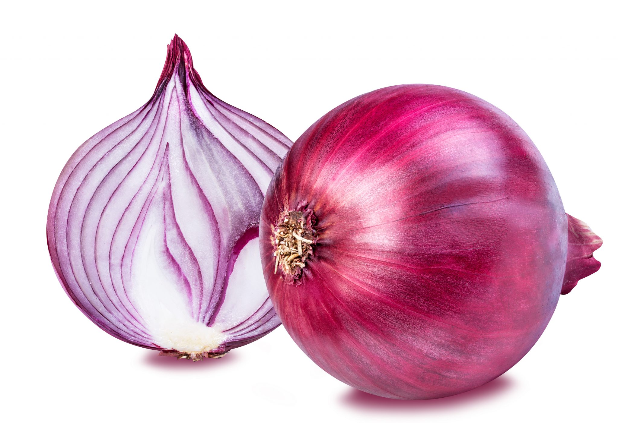 Onion Ooty